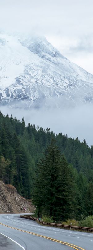 A winding road surrounded by dense evergreen forest, leading towards a snow-capped mountain partially obscured by clouds in the distance.