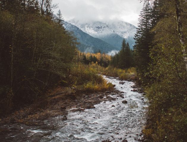 A serene landscape featuring a river winding through a forest with snow-capped mountains in the background under a cloudy sky.