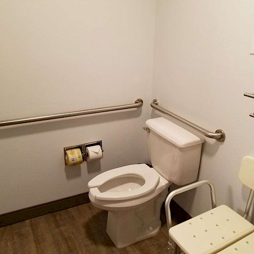 This image shows an accessible bathroom with a toilet, grab bars, toilet paper dispenser, towel rack with towels, and a shower chair.