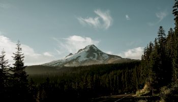 A snow-capped mountain peak stands tall against a blue sky, surrounded by dense forests and flanked by a winding road.