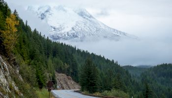 A winding road leads through a forest towards a snow-covered mountain, partially shrouded in clouds and mist.