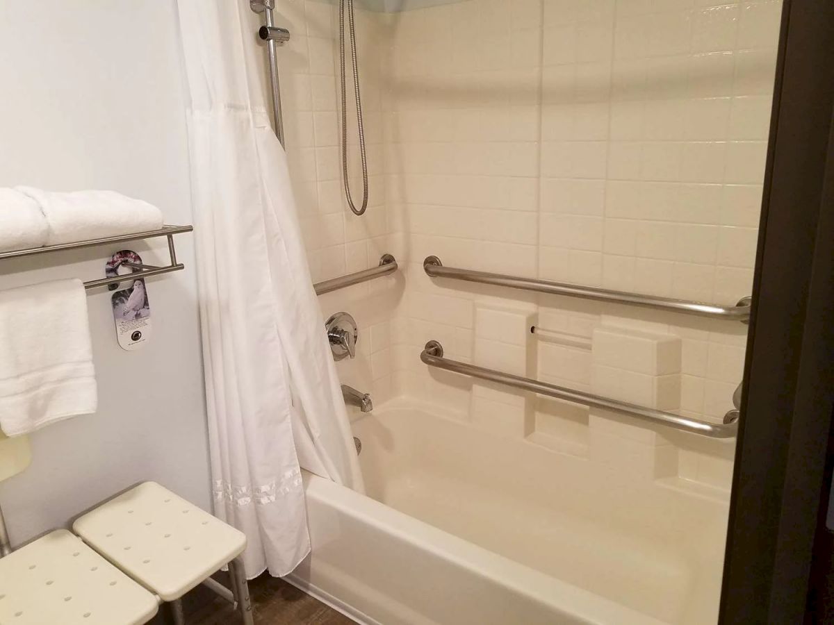 The image shows a bathroom with a bathtub, showerhead, shower curtain, and several grab bars installed for accessibility. Towels are on a nearby rack.